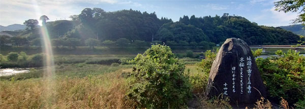 ���R�x�c��