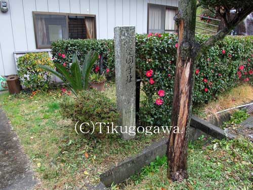 ���g��������