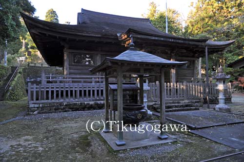 �L�y����t��