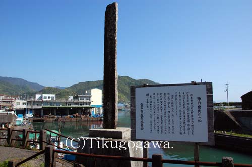 ���|���̏���