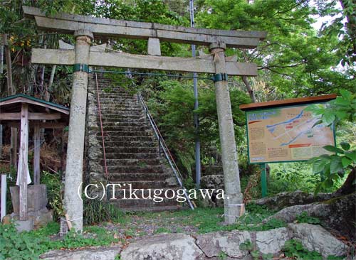 ���l�_��