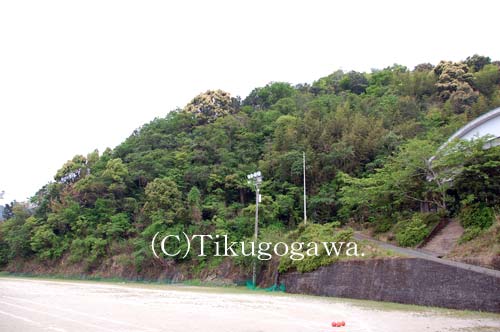 �y���v����