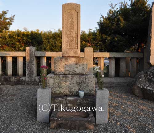 �\�͑��ۂ̕�