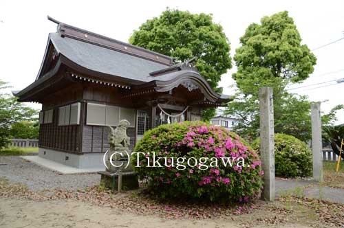 ��V�����