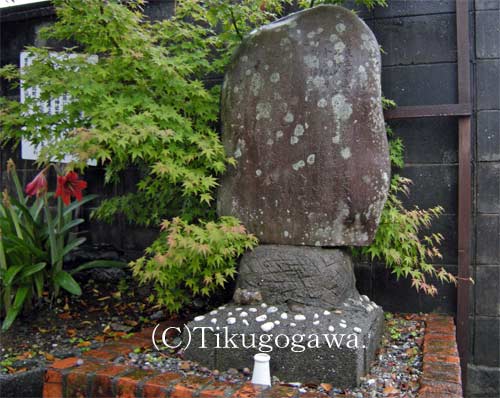 �g�ǐe�����~��