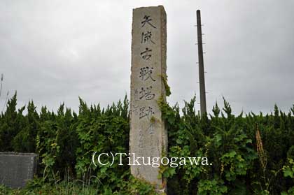 �g�c�F�r�̕�