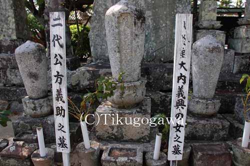 �����`���̕�