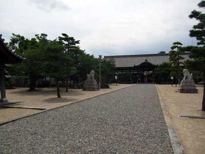 �_�c�����{