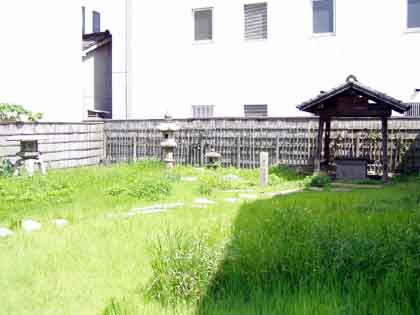 �痘�x���~��