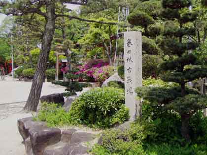 �_�c�����{�ɂ���_�c�ьÐ���