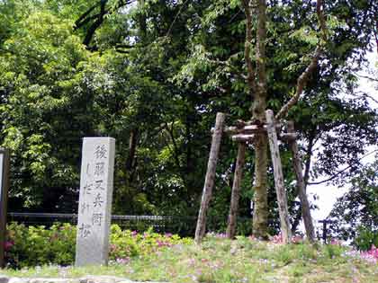 �����q�̂������