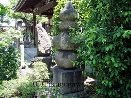 ��쎡���̕�