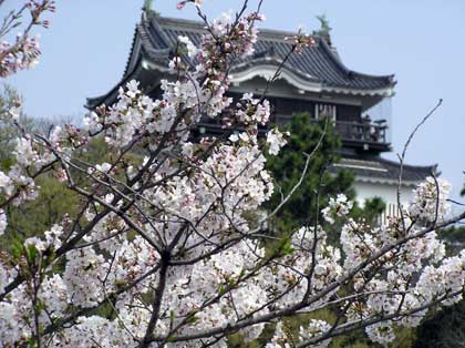 ���Ɖ����