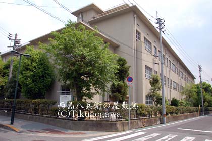 ���������q�̉��~��