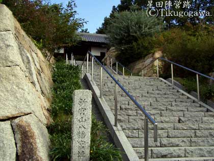 ���c�w�c��