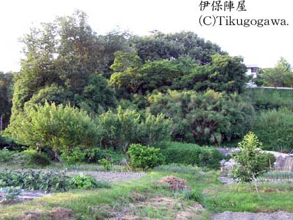 �ɕېw����