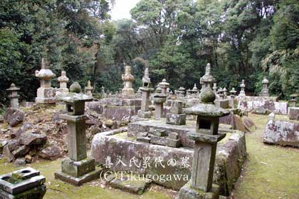 ������ݑ�̕�