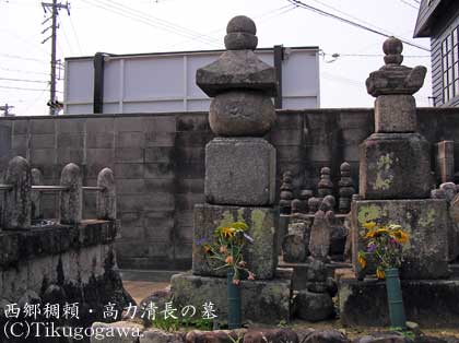 ���͐����̕�