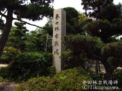 �_�c�ьÐ���