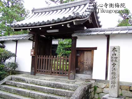 �^��Ƃ��Č��������S���t�~�@