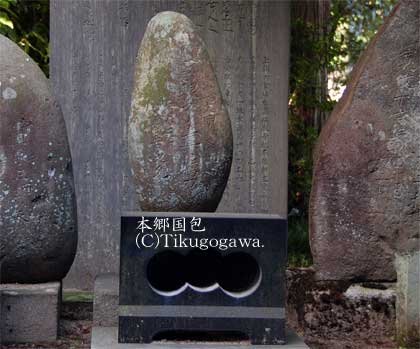 �{������̕�