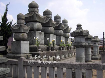 �{���Ɨ��̕�