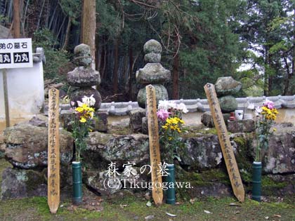 �X���ۂ�Z�R�l�̕�