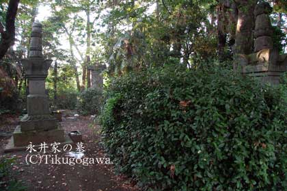 �i�䏮����̕�