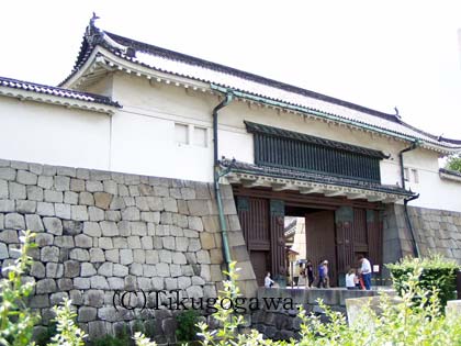 �����̖�