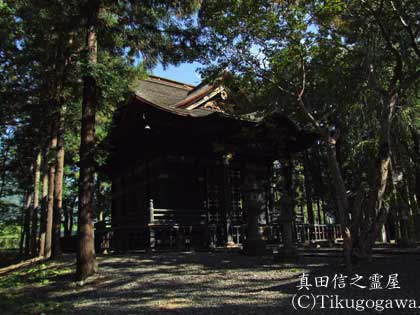 �^�c�M�V�̗쉮