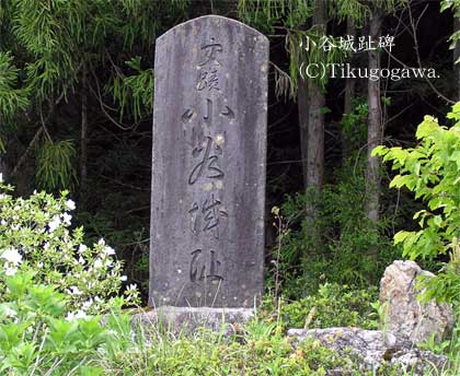 ���J�����