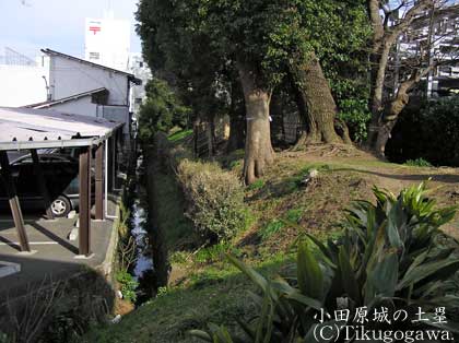 ���c����̓y��