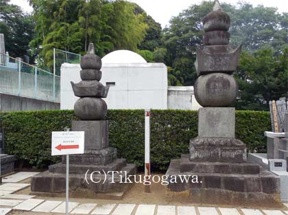 ���}�����M�v�ȋ��{��