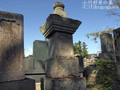 ����D���̕�