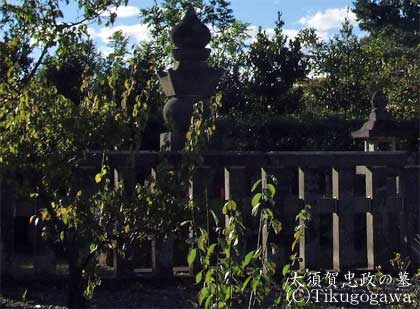 ��{�ꒉ���̕�