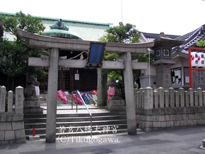 ��{�����{