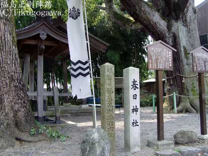 ���������w��