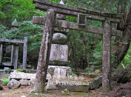 ��P�̋��{��