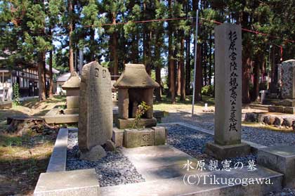 �����e���̕�