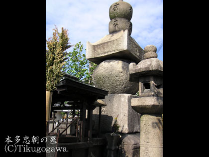 �{�������̕�