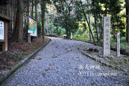 ���V�_���