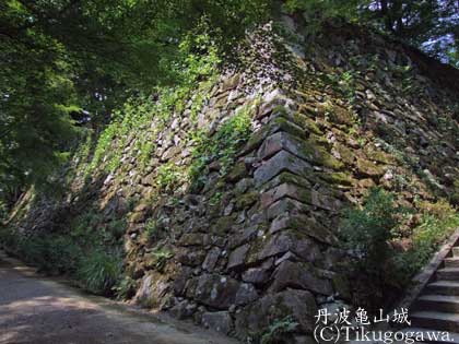 �O�g�T�R��