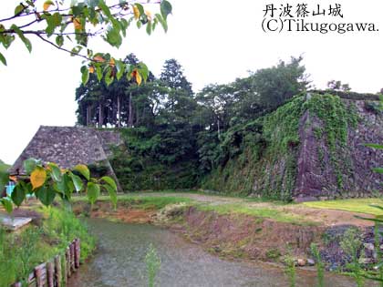 �O�g�R��