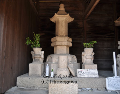 ���ԏ@�΂̕�