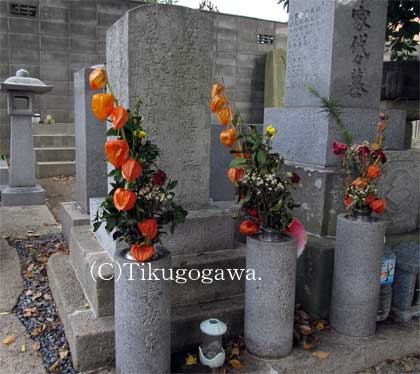 ���⌌����Y�̕�