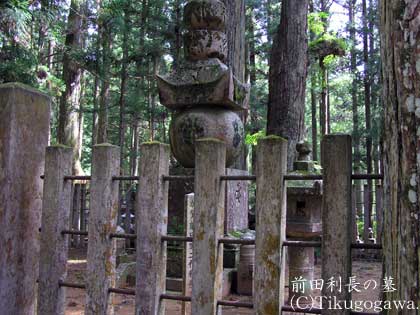 �O�c�����揊