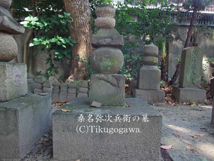 �K����F�̕�