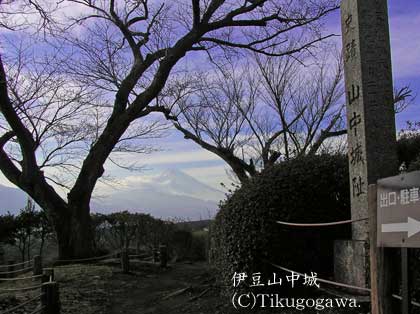 �ɓ��R����