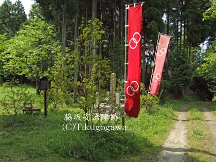 �e������w��