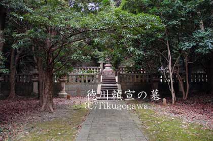 ���엊��̕�